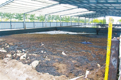 工業(yè)園侵占保護區(qū)，未整改反引進新項目