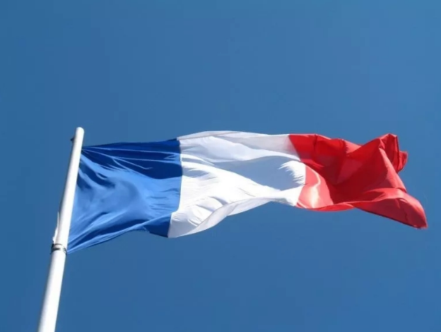 法國(guó)總統(tǒng)宣布——海上風(fēng)電降電價(jià)！