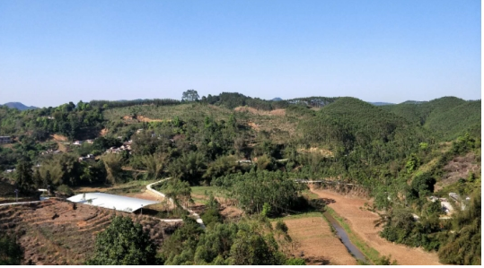 互聯(lián)網(wǎng)＋認(rèn)養(yǎng)農(nóng)業(yè)，顛覆產(chǎn)業(yè)綻放輝煌