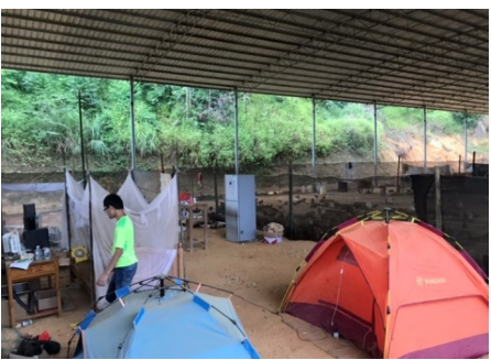 互聯(lián)網(wǎng)＋認(rèn)養(yǎng)農(nóng)業(yè)，顛覆產(chǎn)業(yè)綻放輝煌