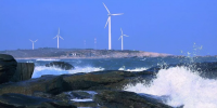 海上風(fēng)電終于想明白了：與其抱怨競價(jià)，不如換種<font color=