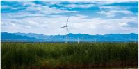 分散式風電破“局”