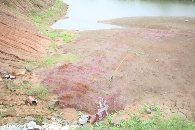 “毒”傾長(zhǎng)江 萬(wàn)噸污染物非法傾倒案調(diào)查