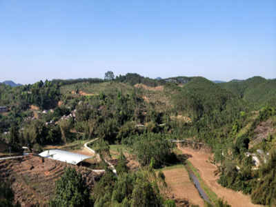 互聯(lián)網＋認養(yǎng)農業(yè) 顛覆產業(yè)綻放輝煌（圖）