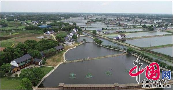 湖南益陽赫山區(qū):智慧農(nóng)業(yè)讓美麗鄉(xiāng)村振興騰飛