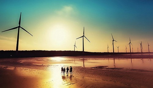 中國(guó)海上風(fēng)電風(fēng)險(xiǎn)成本偏高 盈利仍有難度