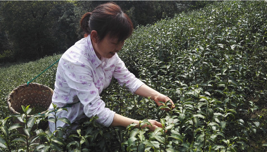 一乙雙平臺(tái)探索“互聯(lián)網(wǎng)+農(nóng)業(yè)” 促進(jìn)城鄉(xiāng)共同發(fā)展