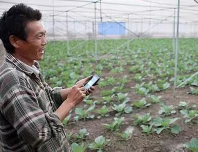 國務(wù)院常務(wù)會議鼓勵的“互聯(lián)網(wǎng)+農(nóng)業(yè)”創(chuàng)新手段，幫你找到了案例
