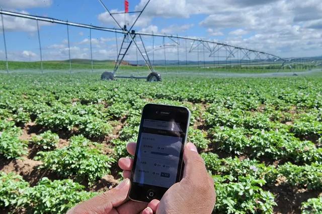 國務院常務會議鼓勵的“互聯(lián)網(wǎng)+農(nóng)業(yè)”創(chuàng)新手段，幫你找到了案例