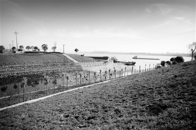 不畏難 多統(tǒng)籌 綜合治 齊心護(hù)