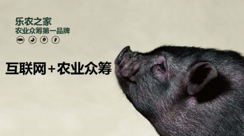 互聯(lián)網(wǎng)+農(nóng)業(yè)眾籌只賺吆喝 利潤全被用戶拿走了？