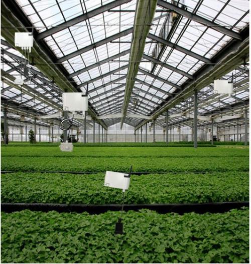 “互聯(lián)網(wǎng)+農(nóng)業(yè)”，創(chuàng)造農(nóng)村發(fā)展新活力