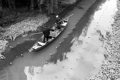 滇池保護(hù)治理：“誰污染誰買單”倒逼環(huán)保責(zé)任落實(shí)