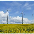 風(fēng)電產(chǎn)業(yè)觀察：風(fēng)電行業(yè)的四個確定、三個不確定