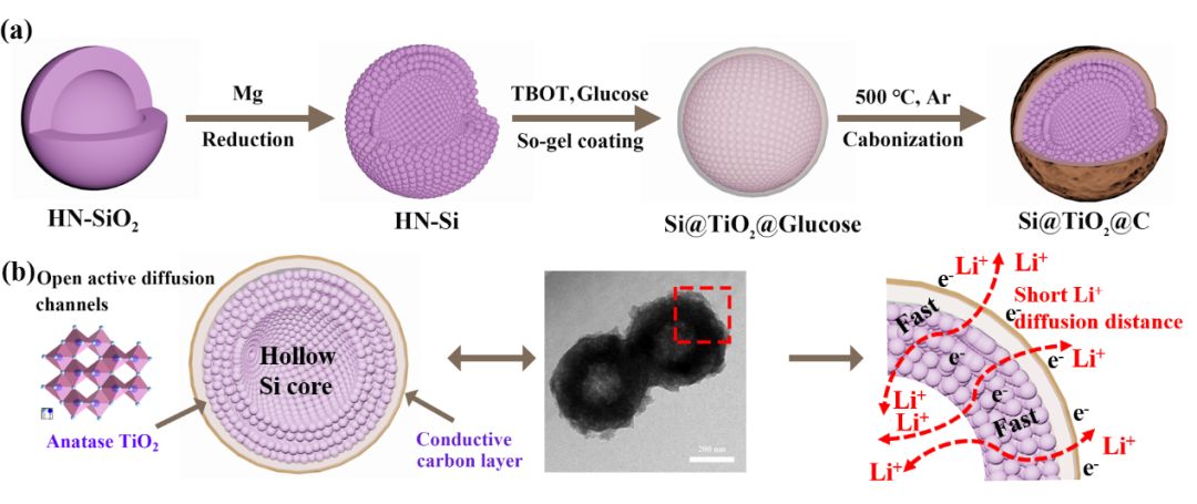 空心包裹硅負(fù)極材料研究：有效改善膨脹提高導(dǎo)電性