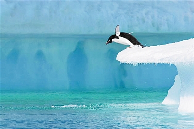 全球僅13%海洋 未遭人類(lèi)破壞