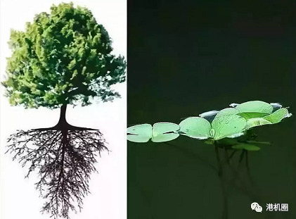 插樁式、坐底式 詳解海上風(fēng)電安裝平臺的作業(yè)方式