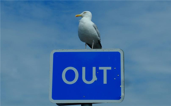 中國動(dòng)力電池行業(yè)前五出貨量占比80% 二線企業(yè)基本將出局？