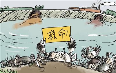 上游污水“毒死”萬畝大閘蟹，誰擔(dān)其責(zé)？