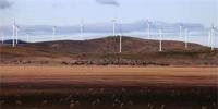 埃及計劃建設(shè)23.3億美元風(fēng)電場項目