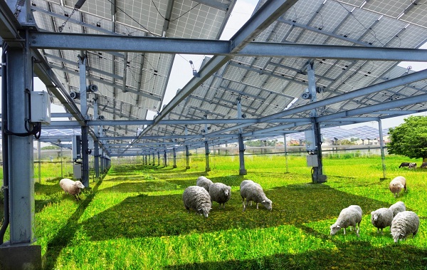 后補(bǔ)貼時(shí)代 “架高、一地多用”助力光伏平價(jià)上網(wǎng)