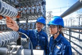 報(bào)告！1000千伏特高壓南陽站檢修完畢