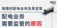 配電業(yè)務(wù)需要監(jiān)管的原因、我國的配電業(yè)務(wù)及其監(jiān)管