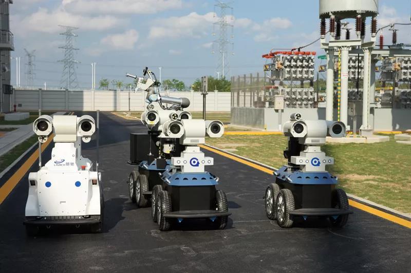 在電網(wǎng)公司上班都“養(yǎng)”什么神奇動(dòng)物？