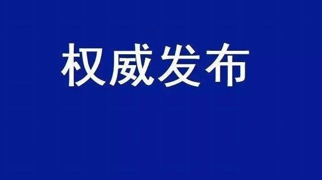 2020國民經(jīng)濟(jì)和社會發(fā)展計(jì)劃草案：建設(shè)全國統(tǒng)一電力市場