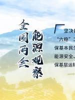 讀圖｜2020政府工作報告中這些內(nèi)容，和能源電力有關！