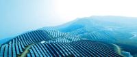 央視財經熱評丨光伏發(fā)電的平價時代到了嗎？