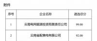 2025年云南電力市場保底售電公司候選名單公示！